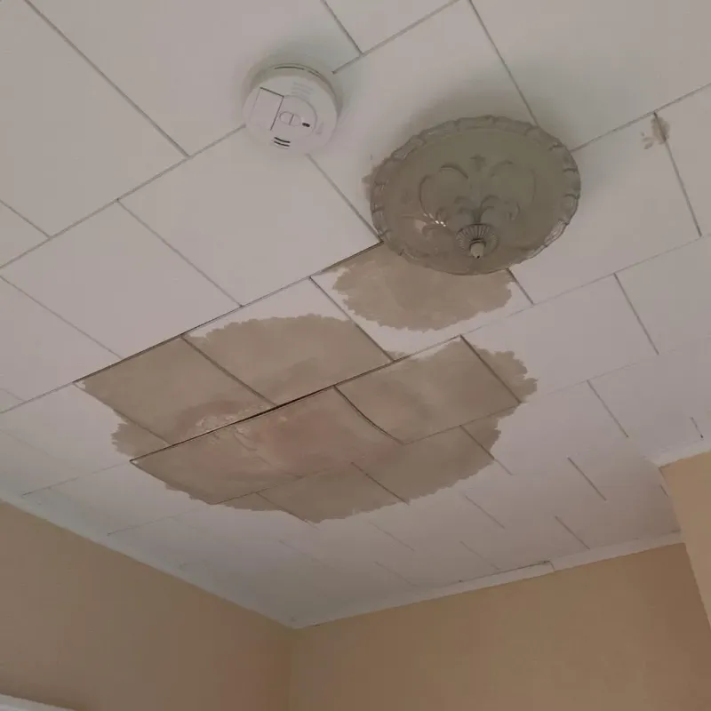 Ceiling Water Damage Repair in West Saint Paul, MN