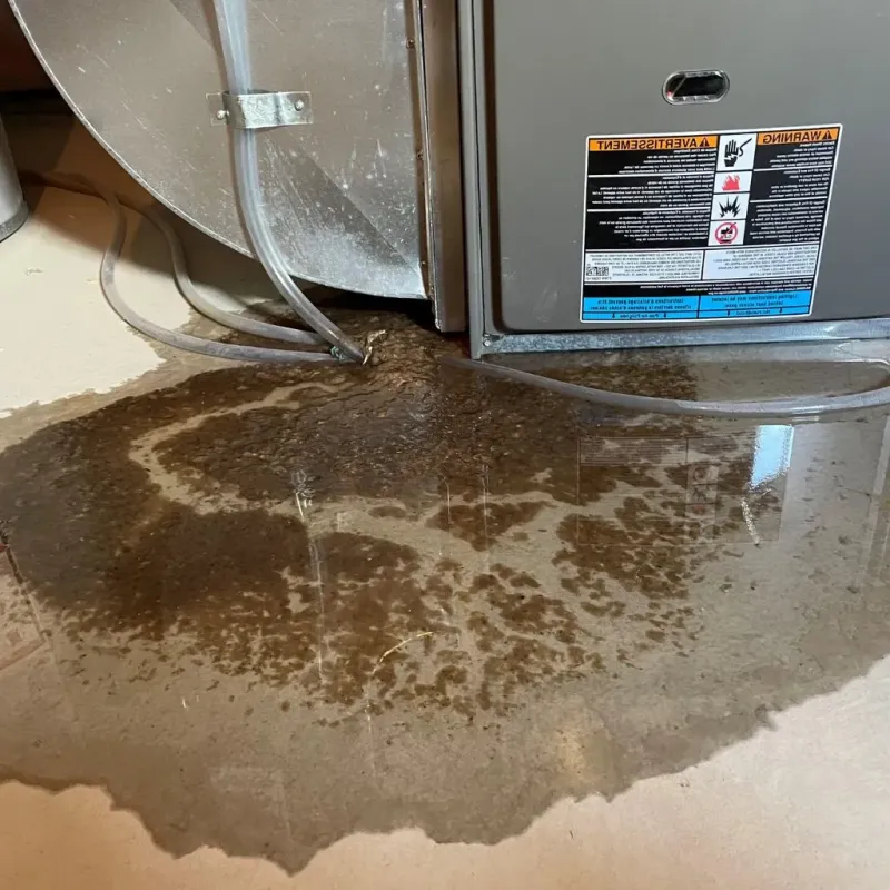 Pipe Burst and Leak Restoration in West Saint Paul, MN