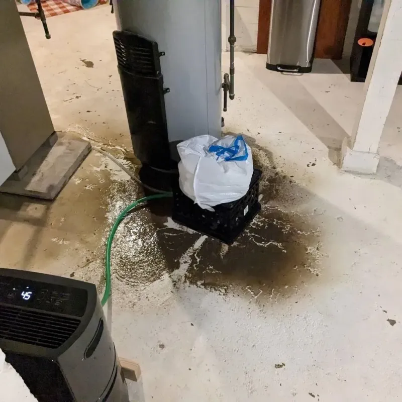 Sewage Backup Cleanup Service in West Saint Paul, MN